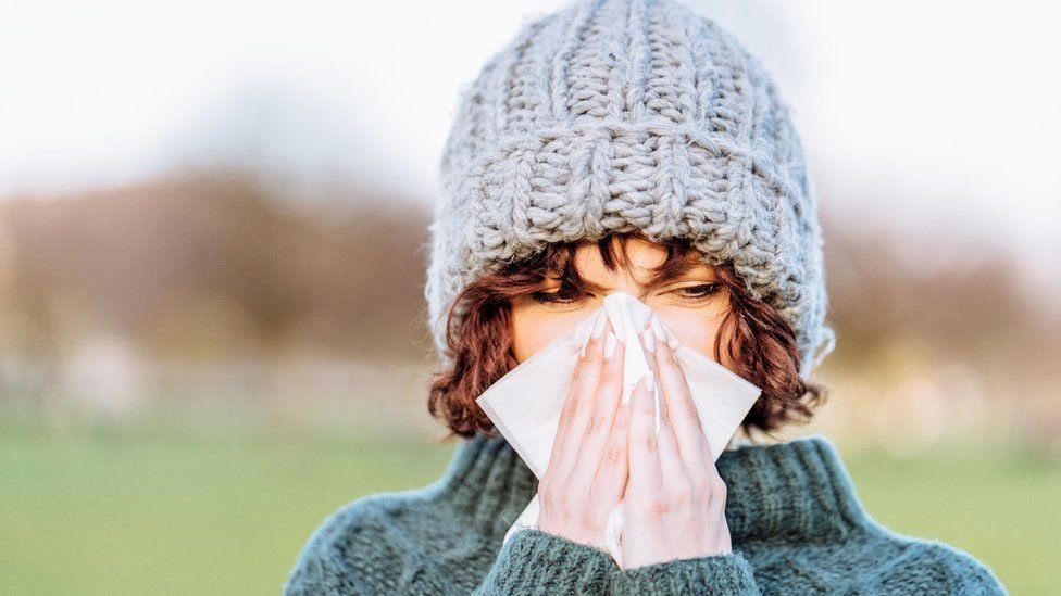 5 tips for supporting your immune system, according to a dietitian
